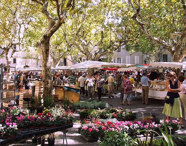 Fleurs au marché d'Uzès — étals de fleurs colorés au printemps