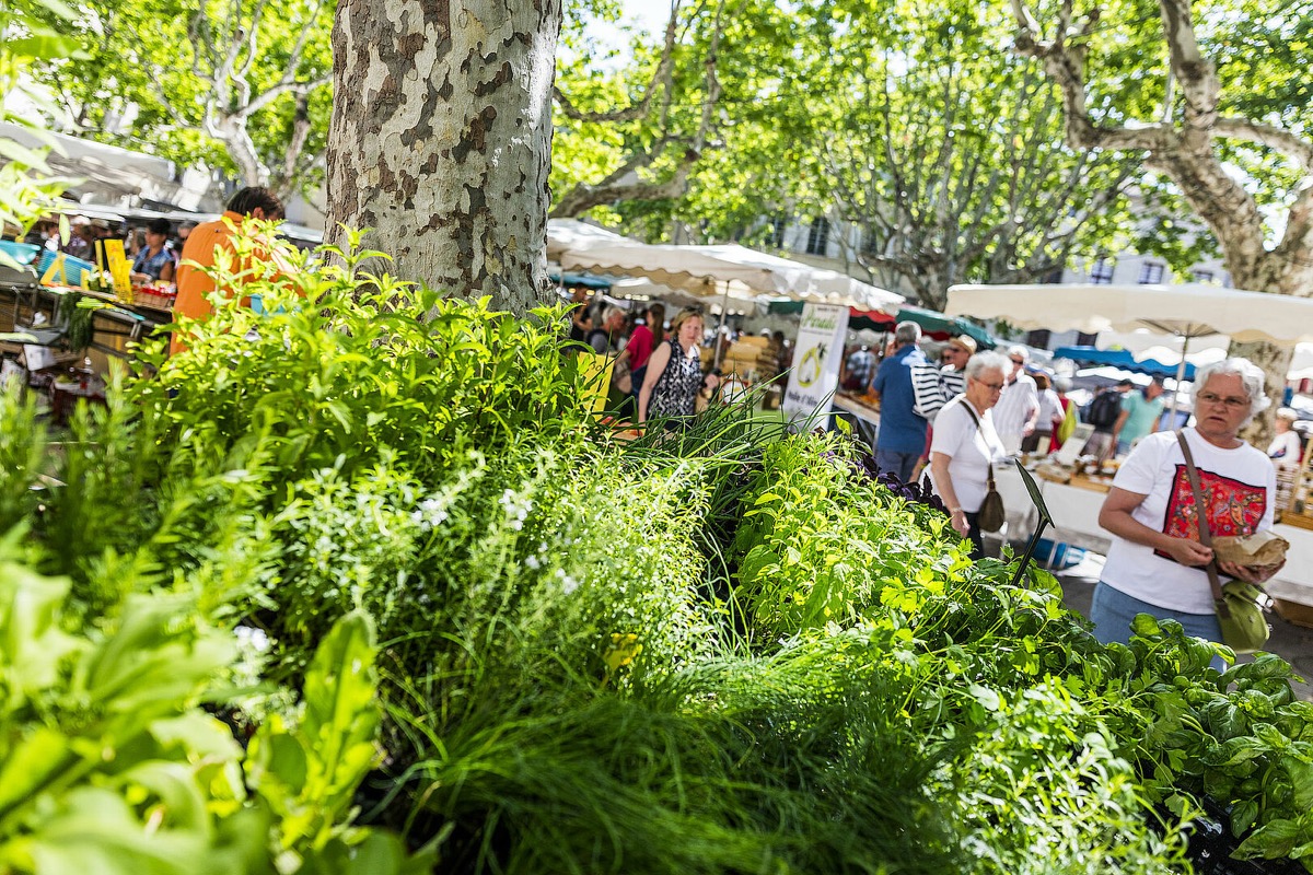 Étals colorés du grand marché du samedi à Uzès