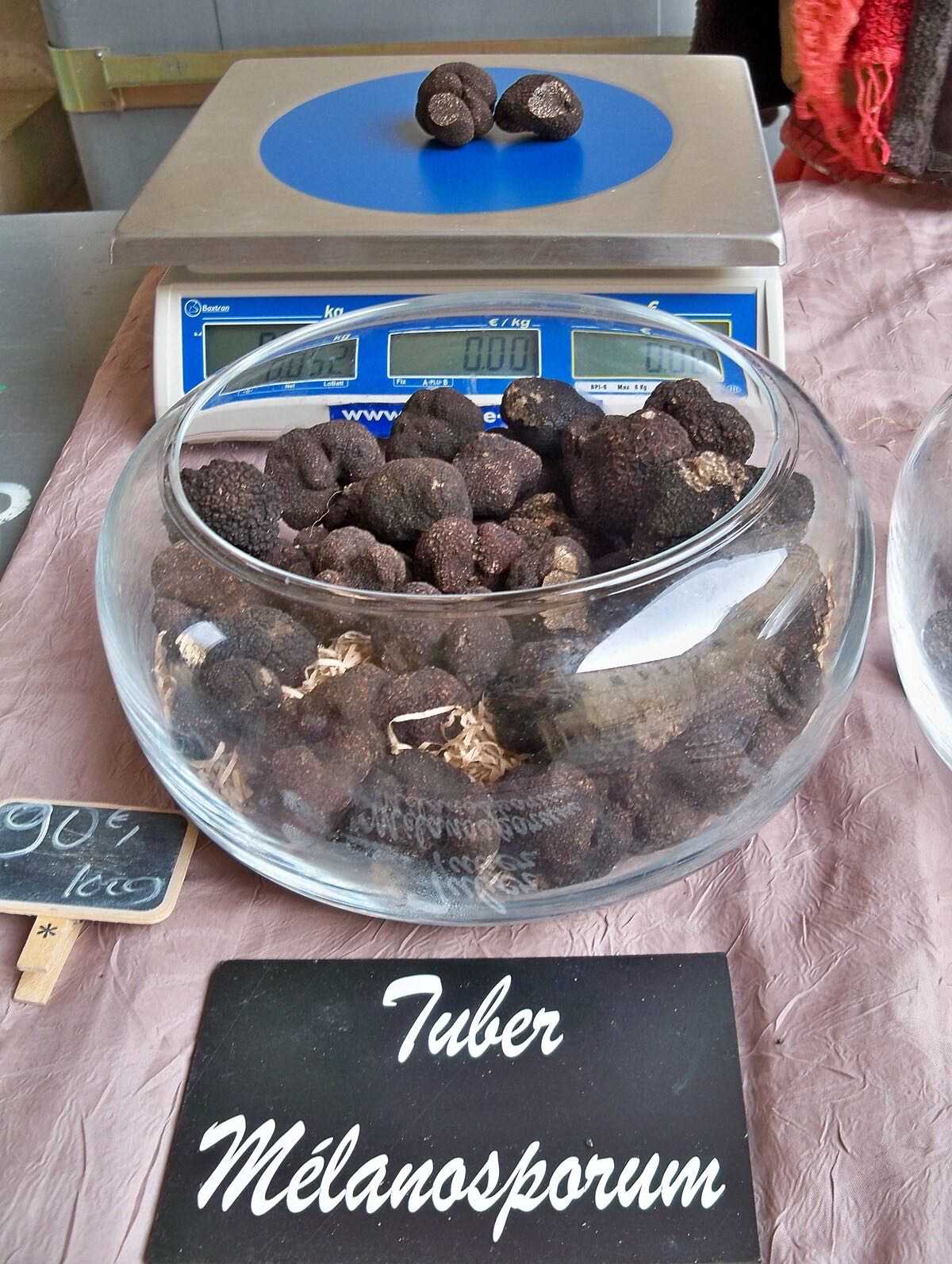 Truffe noire de Provence — marché aux truffes