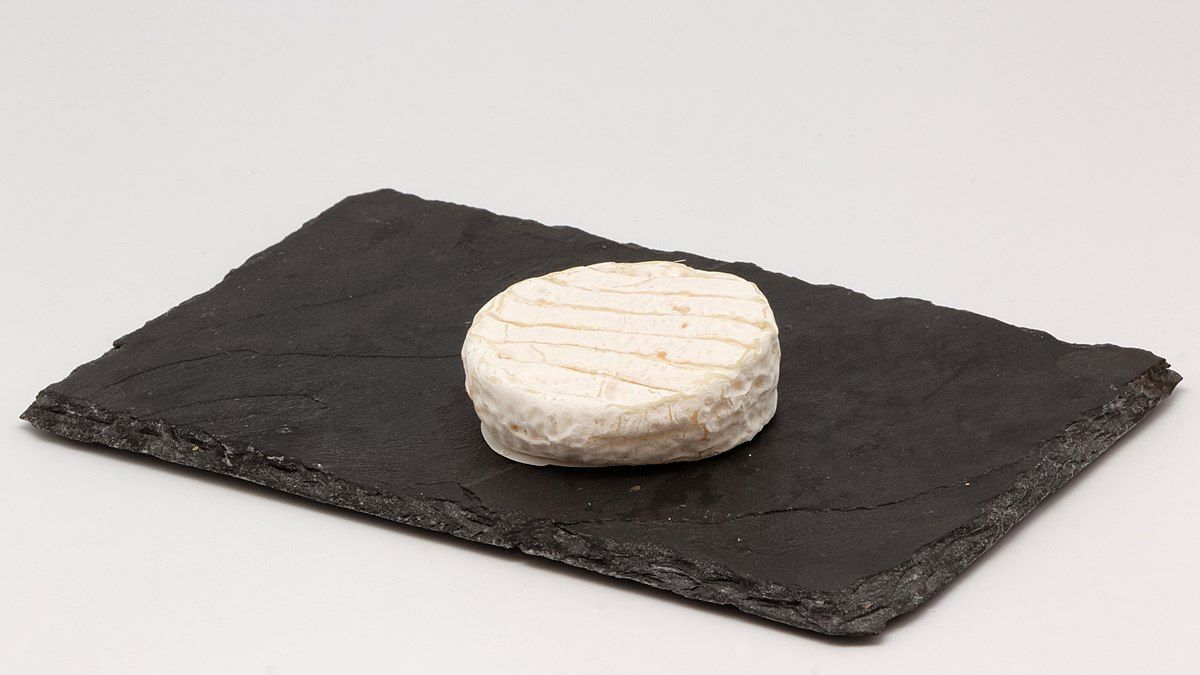 Pélardon — petit fromage de chèvre AOP des Cévennes