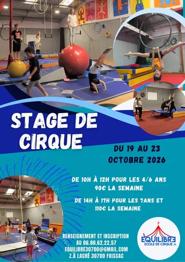 Stage de cirque
