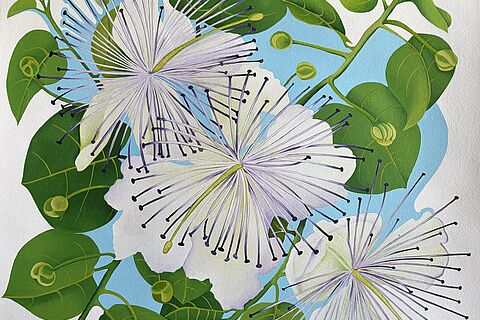 Exposition - Butinerie - Perrine PÉe