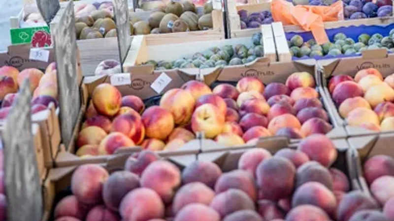 Marché hebdomadaire de Domazan