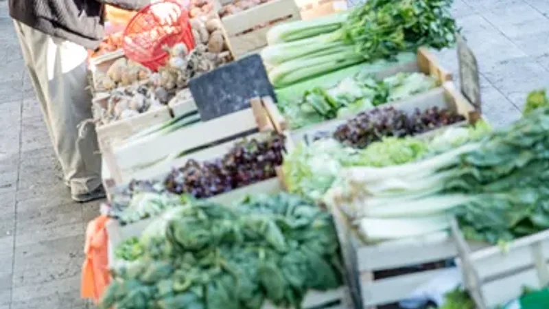 Marché de producteurs hebdomadaire de Saint-Quentin-la-Poterie