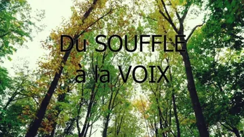 Stage Corps-Souffle-Voix  Méthode Wilfart