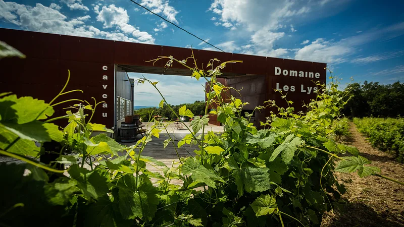 Domaine Les Lys