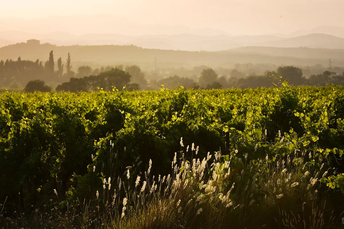 Domaine Les Lys — photo 1