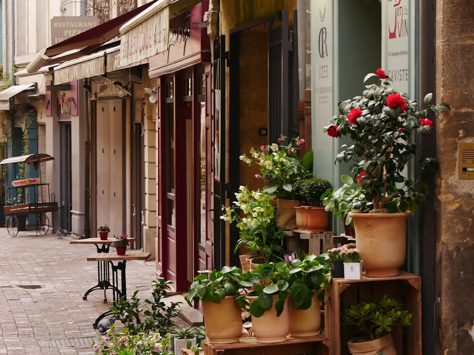 Le Pot de Vin — Bar & Cave