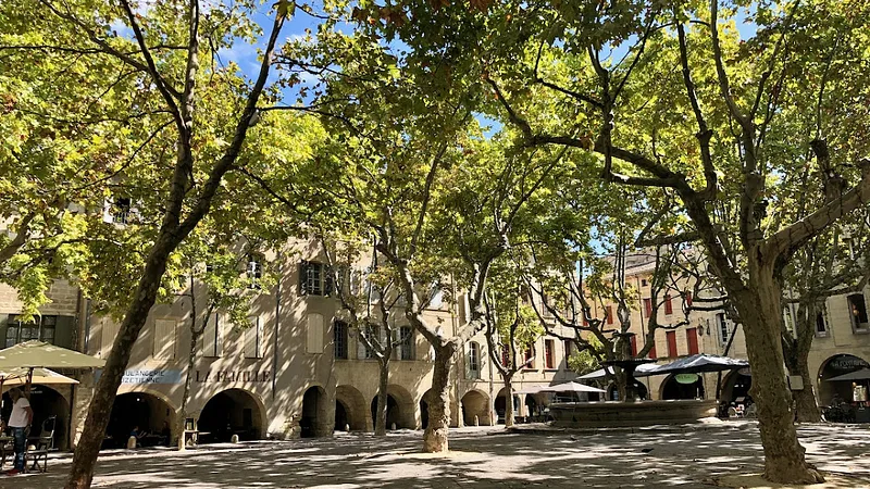 La Fabrique Givrée — photo principale