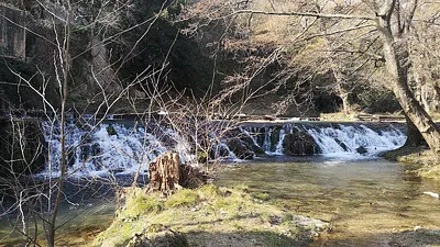 Le Moulin Neuf — photo 2