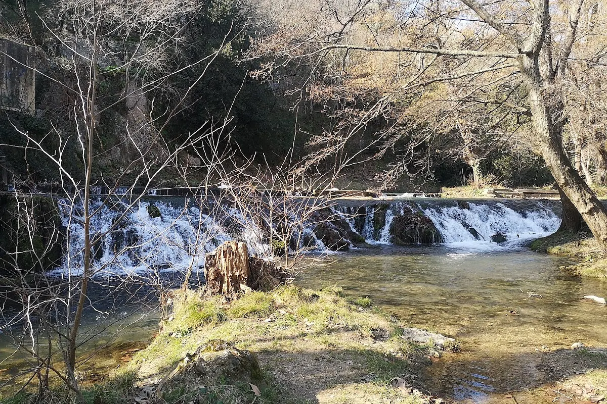 Le Moulin Neuf — photo 1