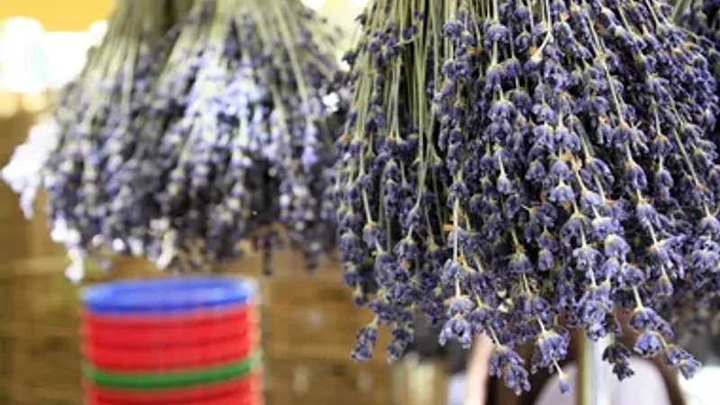 Marché hebdomadaire de Saint-Bonnet-du-Gard